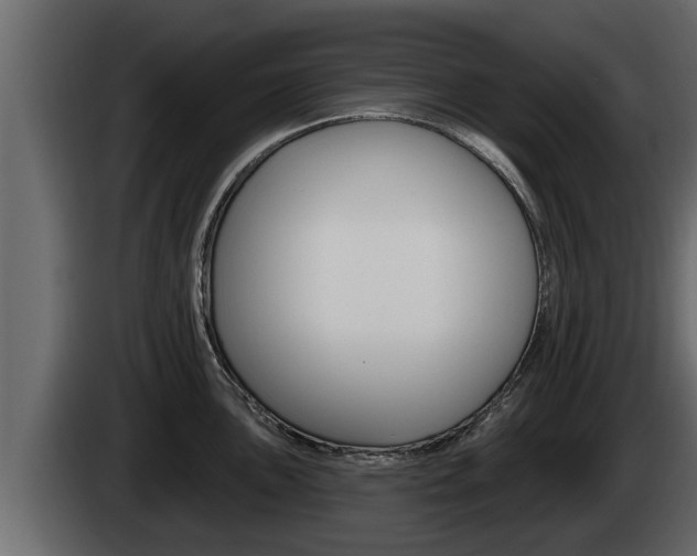 X0000085081051200703051104