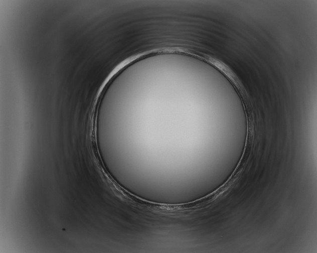 X0000085081052200703051104