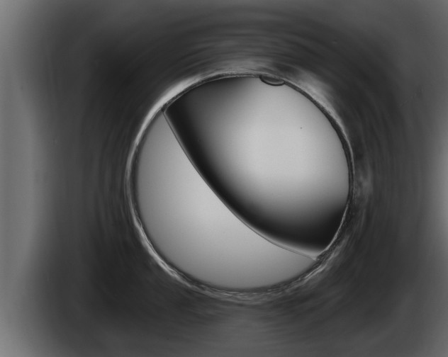 X0000085081053200703051104