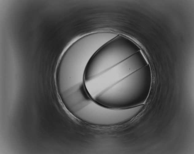 X0000085081054200703051104