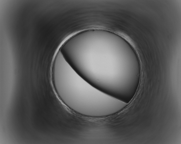 X0000085081056200703051104