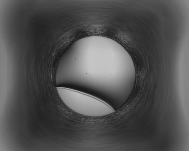 X0000085081058200703051104