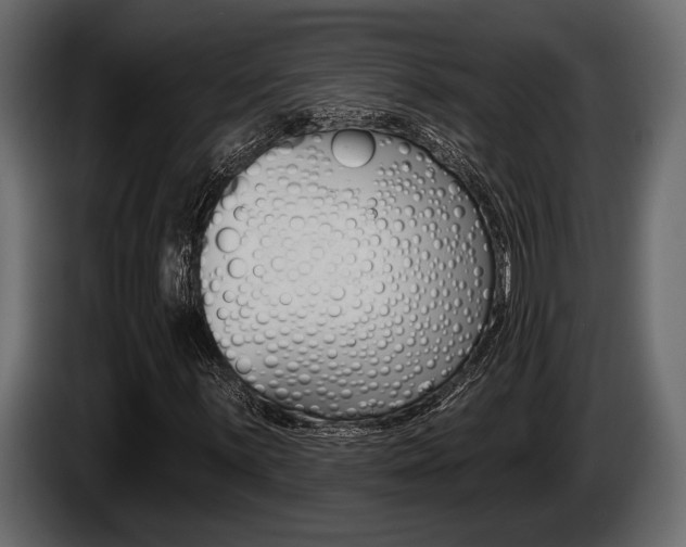 X0000085081059200703051104