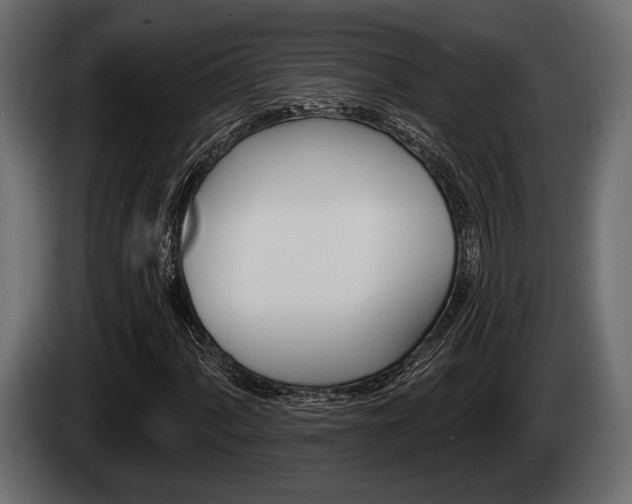 X0000085081060200703051104