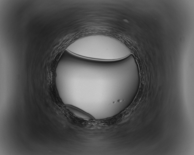 X0000085081061200703051104