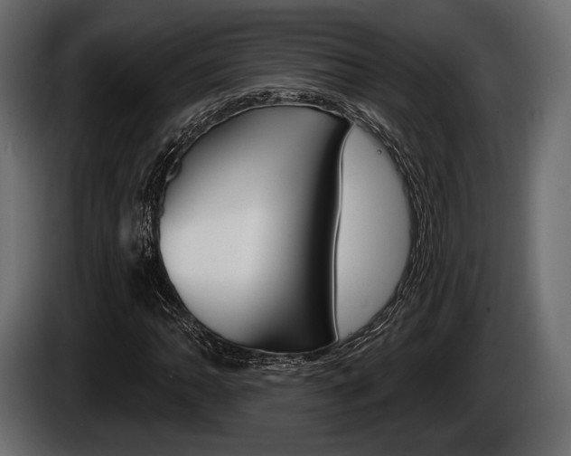 X0000085081062200703051104