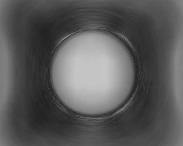X0000085081065200703051104