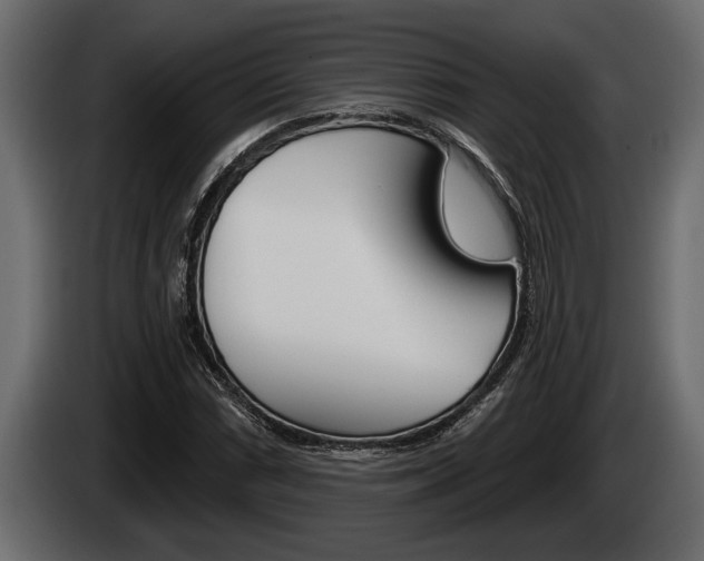 X0000085081066200703051104
