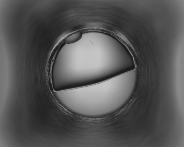 X0000085081068200703051104