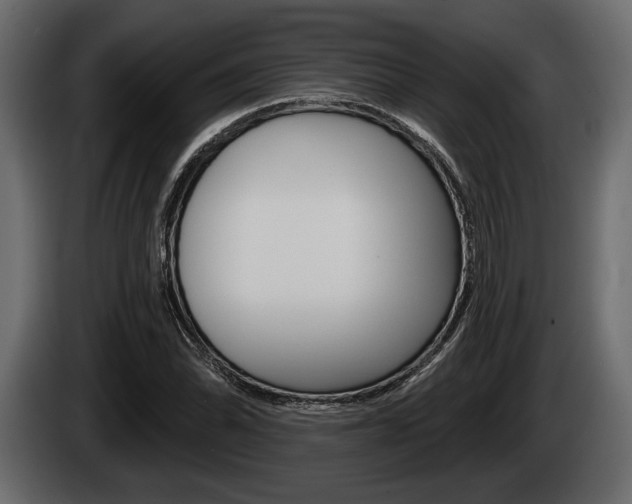 X0000085081070200703051104