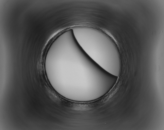 X0000085081071200703051104