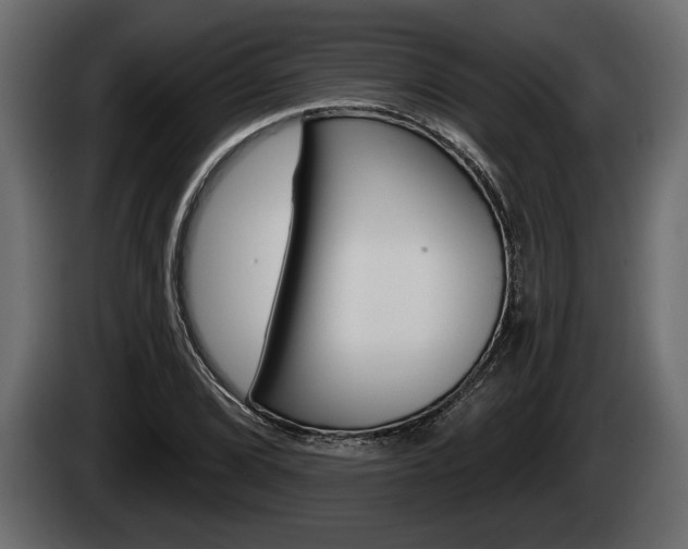 X0000085081072200703051104