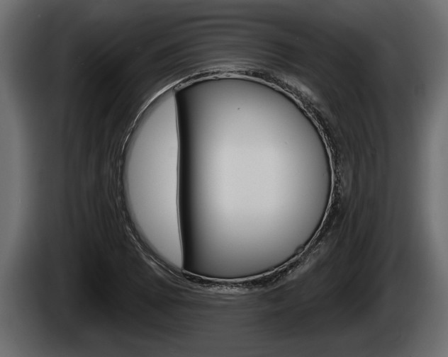 X0000085081073200703051104