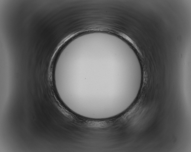 X0000085081074200703051104