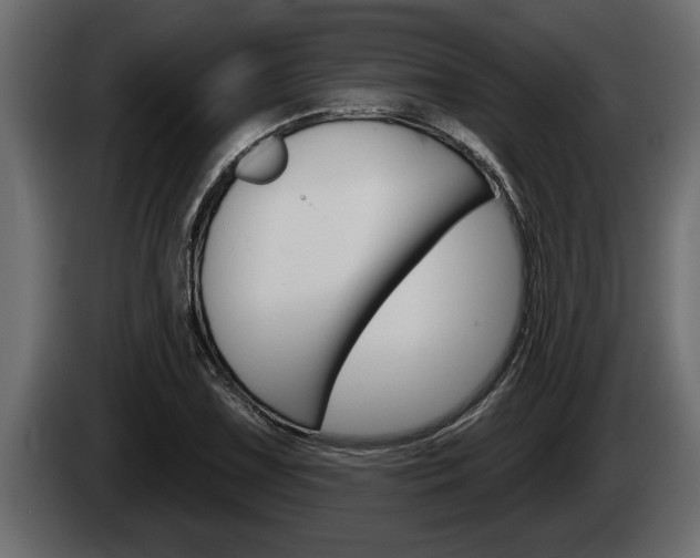 X0000085081075200703051104