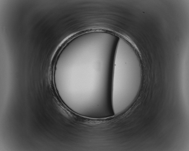 X0000085081076200703051104