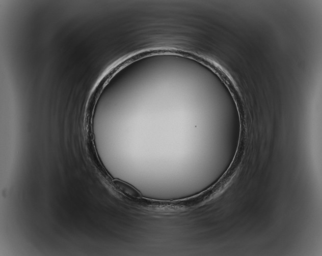 X0000085081077200703051104