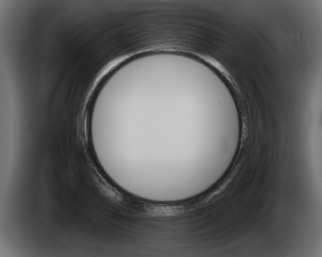 X0000085081078200703051104
