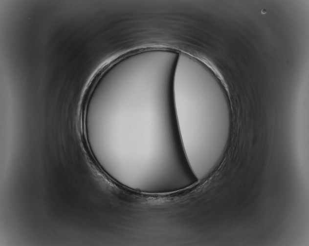 X0000085081080200703051104