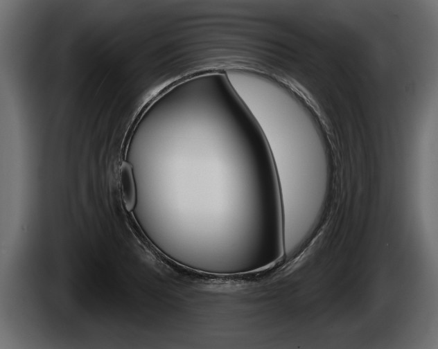 X0000085081081200703051104