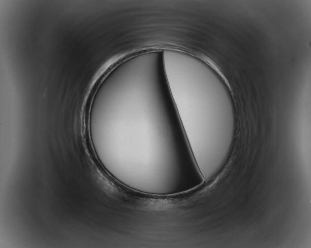 X0000085081082200703051104