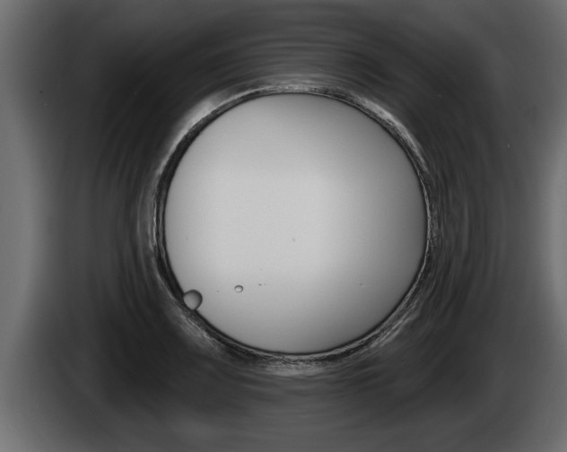X0000085081083200703051104
