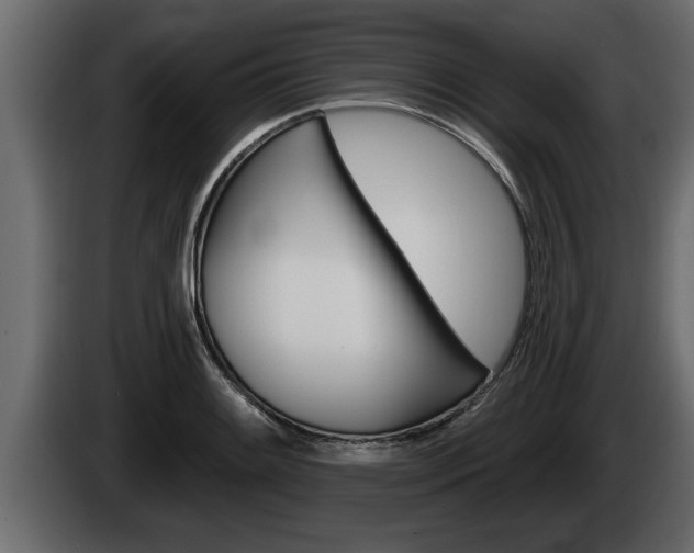 X0000085081084200703051104