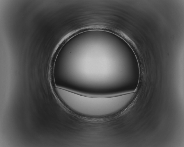 X0000085081085200703051104