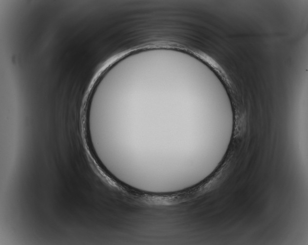 X0000085081086200703051104