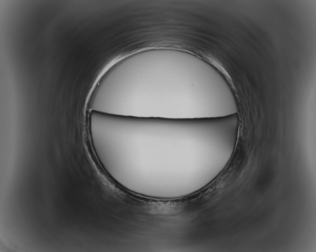 X0000085081087200703051103