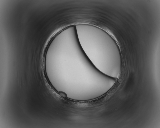 X0000085081088200703051103