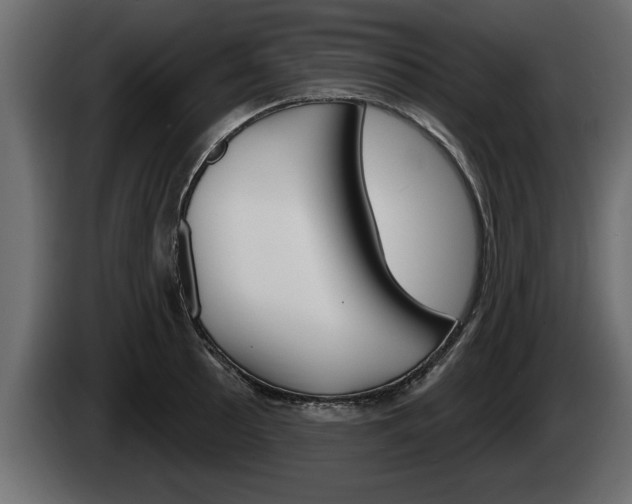 X0000085081089200703051103