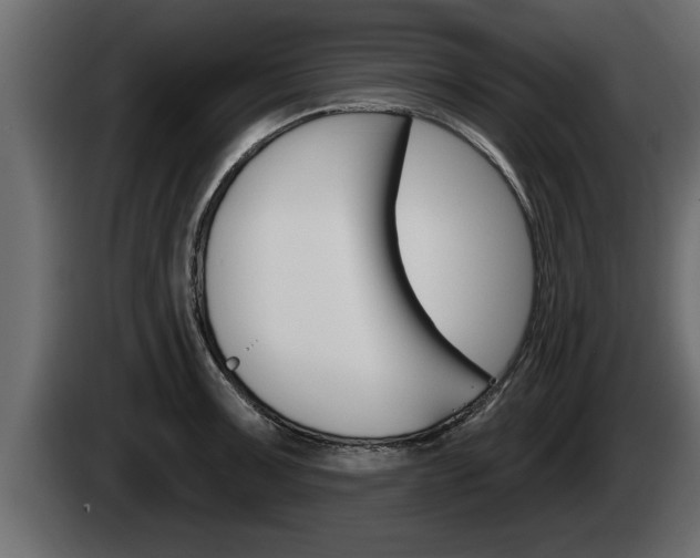 X0000085081091200703051103