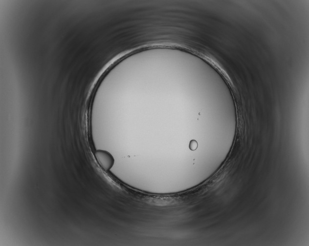 X0000085081092200703051103