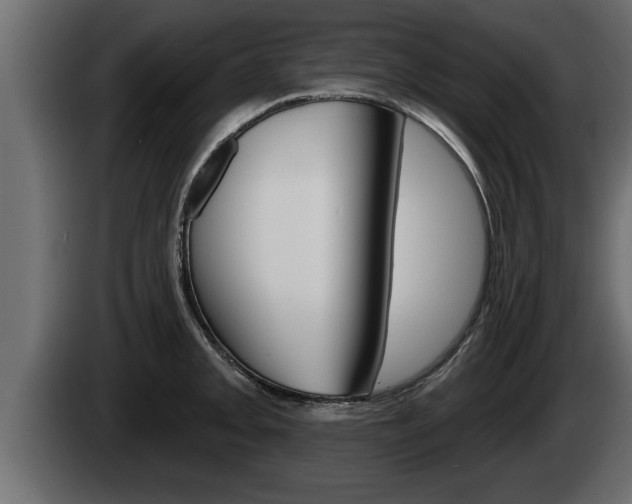 X0000085081093200703051103