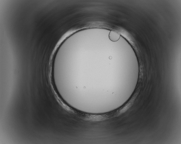 X0000085081094200703051103
