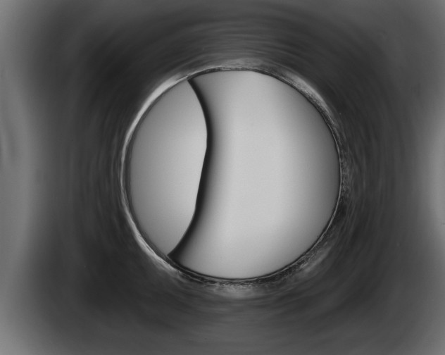 X0000085081095200703051103