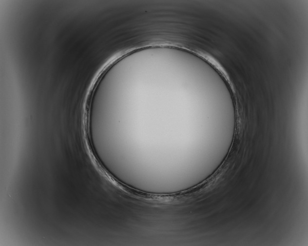 X0000085081096200703051103