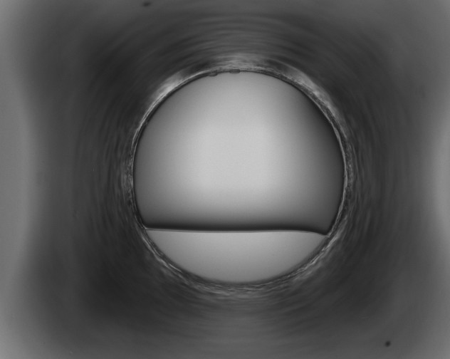 X0000085081097200703051103