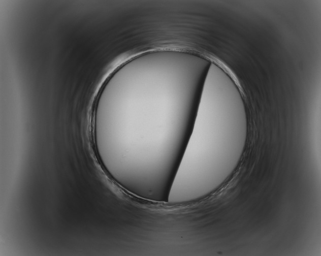 X0000085081099200703051103