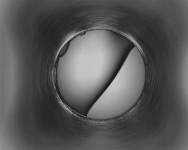 X0000085081100200703051103
