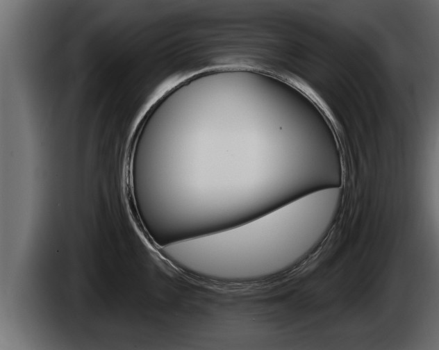 X0000085081101200703051103