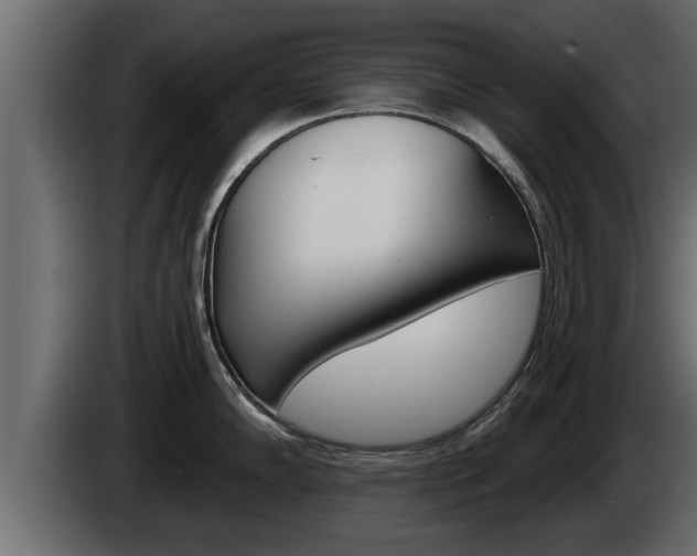 X0000085081102200703051103