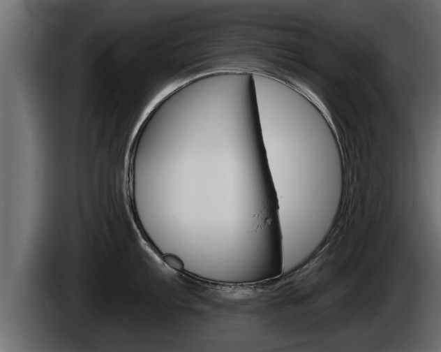 X0000085081103200703051103