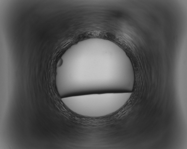 X0000085081105200703051103