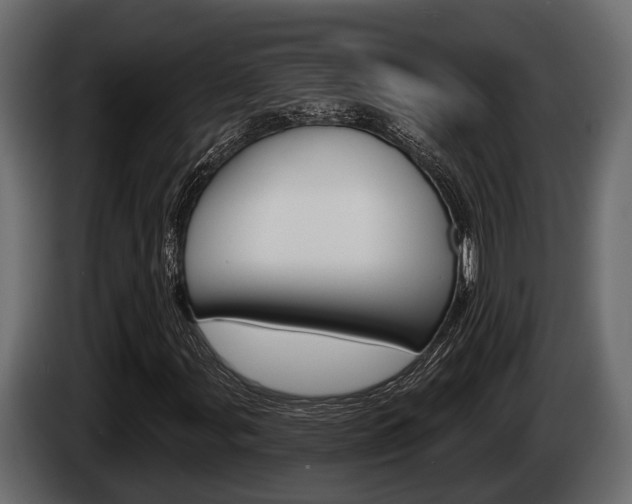 X0000085081107200703051103