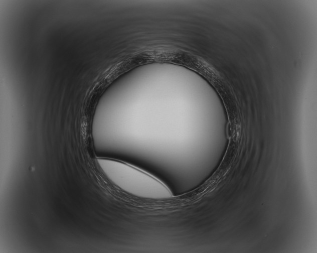 X0000085081108200703051103