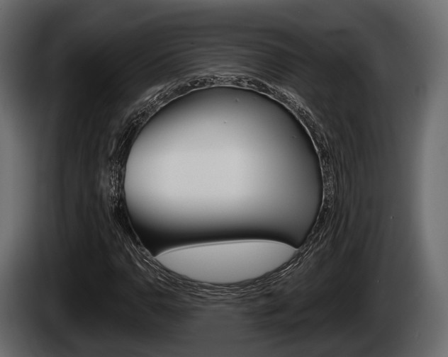 X0000085081110200703051103