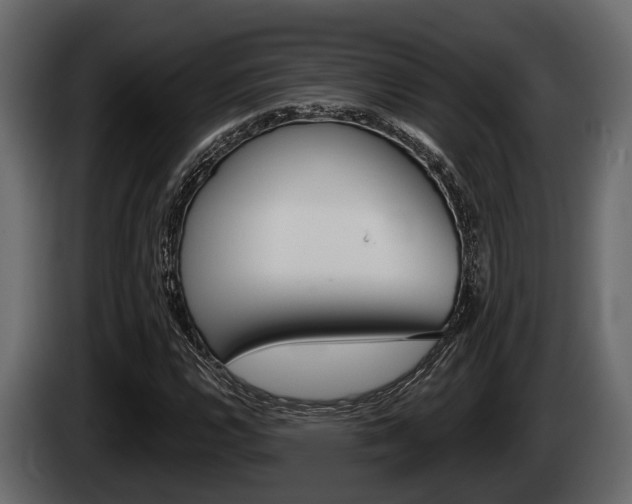 X0000085081112200703051103