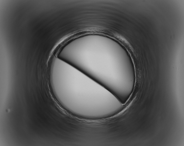 X0000085081114200703051103